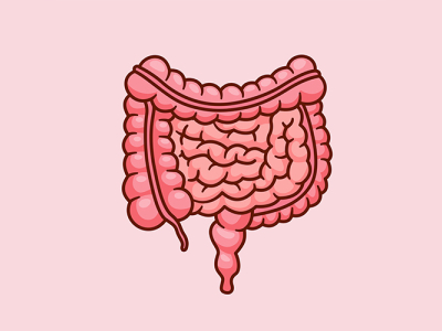 Где прячется лактоза в вашем теле?