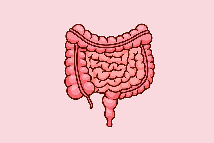 Где прячется лактоза в вашем теле?