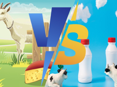 Когда речь заходит о молочных продуктах, не все виды молока одинаковы. Коровье молоко, козье молоко и овечье молоко имеют уникальные свойства, которые влияют на то, как наша пищеварительная система их перерабатывает.